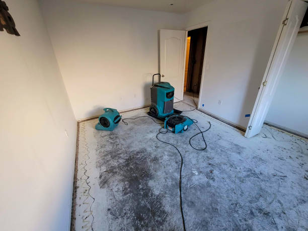 Best Ceiling water damage repair  in Milford Square, PA