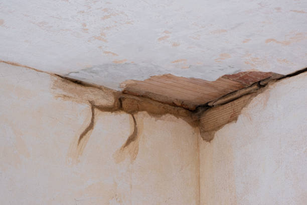 Best Water damage contractors near me  in Milford Square, PA