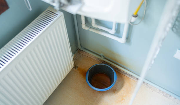Best Professional water damage repair  in Milford Square, PA