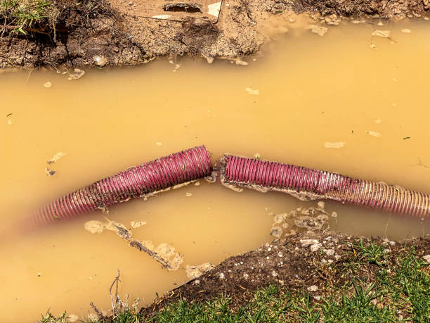 Best 24/7 water damage repair  in Milford Square, PA